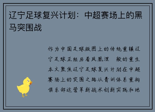 辽宁足球复兴计划：中超赛场上的黑马突围战